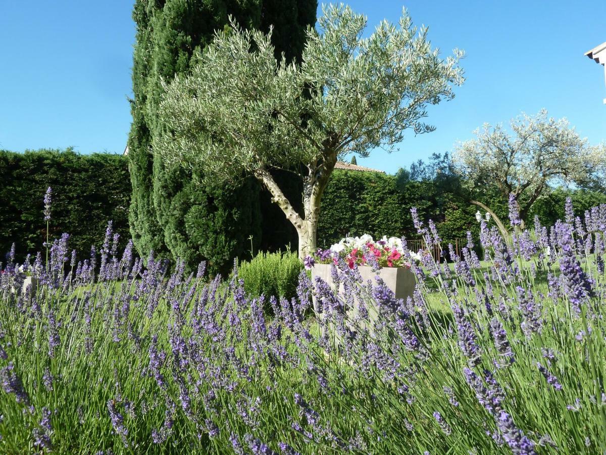 Le Gite De Lolivier En Provence Aramon Luaran gambar